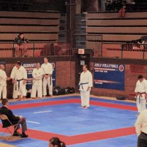 Karate championships