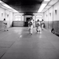 Japan Karate Association of Chicago Sugiyama Dojo