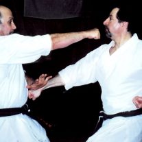 Sensei Mirza and Arab